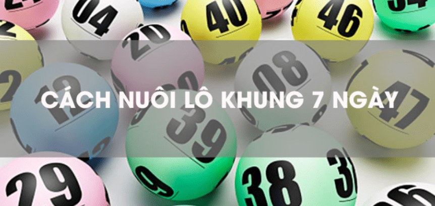 Hỗ trợ nuôi lô 7 ngày liên tục