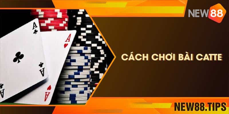 Tất Tần Tật Cách Chơi Bài Catte Dễ Thắng Nhất Cho Tân Thủ 5 Tất Tần Tật Cách Chơi Bài Catte Dễ Thắng Nhất Cho Tân Thủ