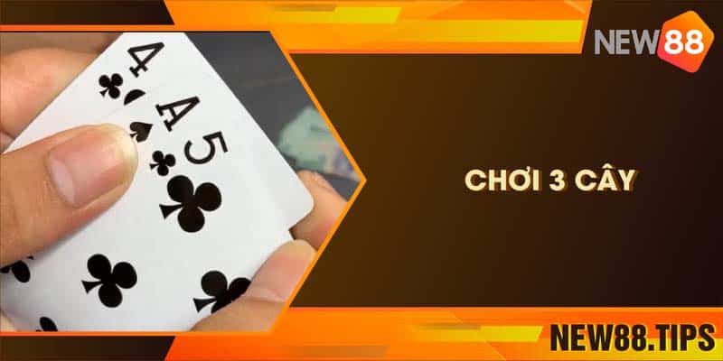 Bật Mí Luật Chơi Và Cách Chơi 3 Cây Từ Các Cao Thủ 4 Bật Mí Luật Chơi Và Cách Chơi 3 Cây Từ Các Cao Thủ