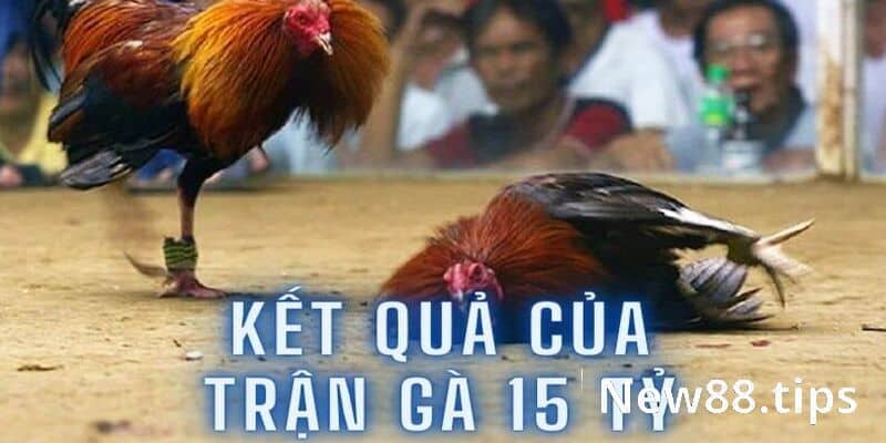 Trận Gà 15 Tỷ Và Những Điều Có Thể Bạn Chưa Biết 6 Kết quả chung cuộc của trận gà 15 tỷ